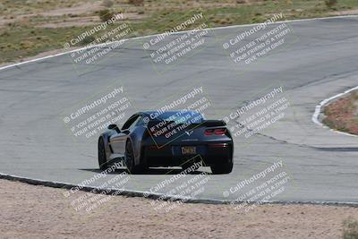 media/Mar-04-2023-West Coast Racing (Sat) [[a3f8e4c156]]/Green/Back Shots/